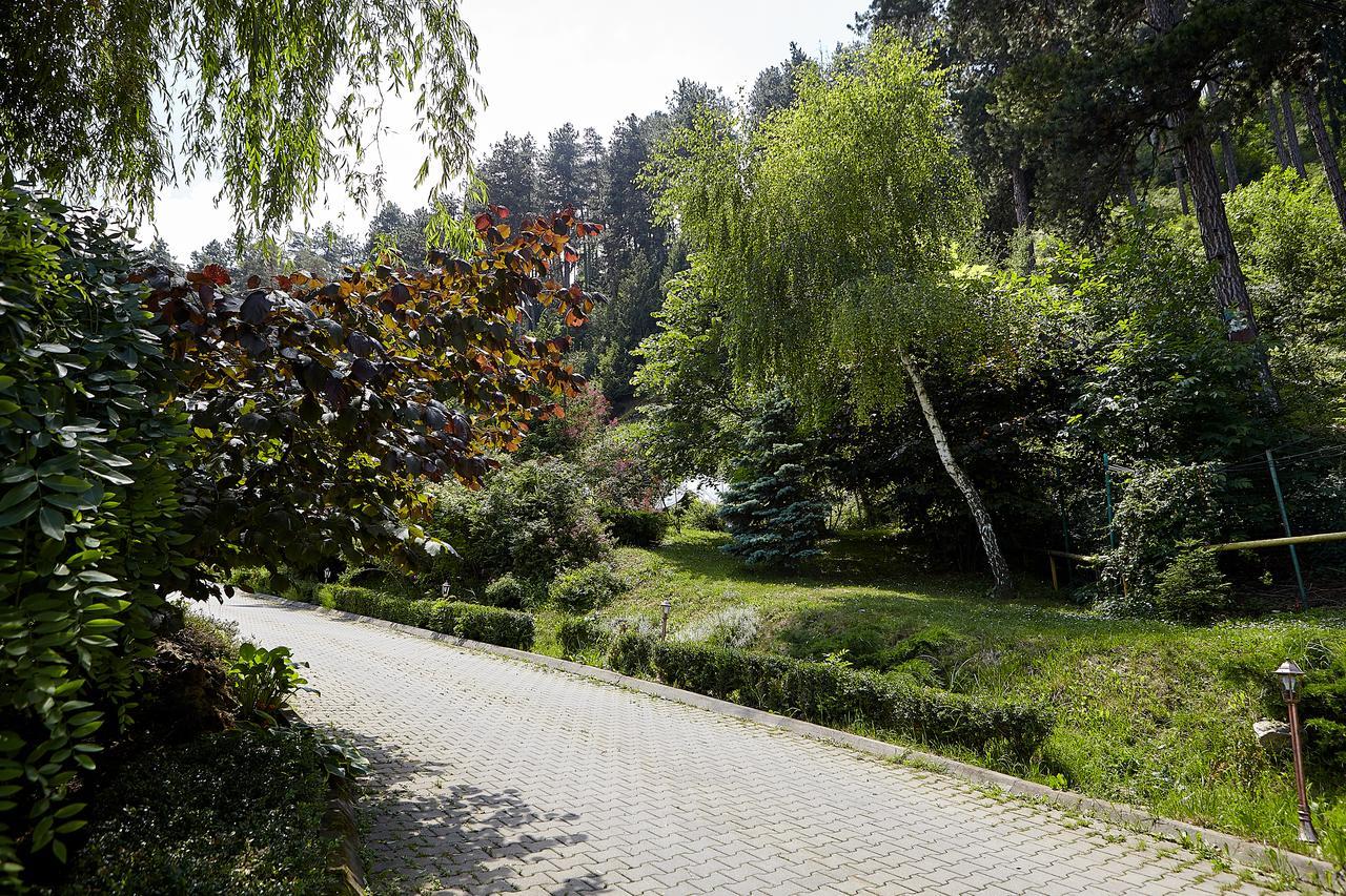 Bellavista Brasov Hotel Sacele Exterior photo