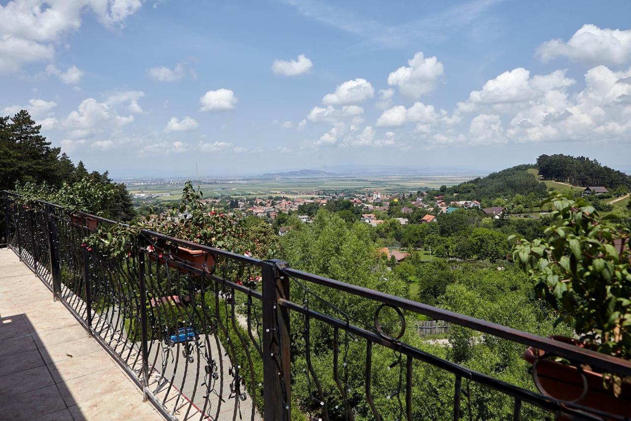 Bellavista Brasov Hotel Sacele Exterior photo